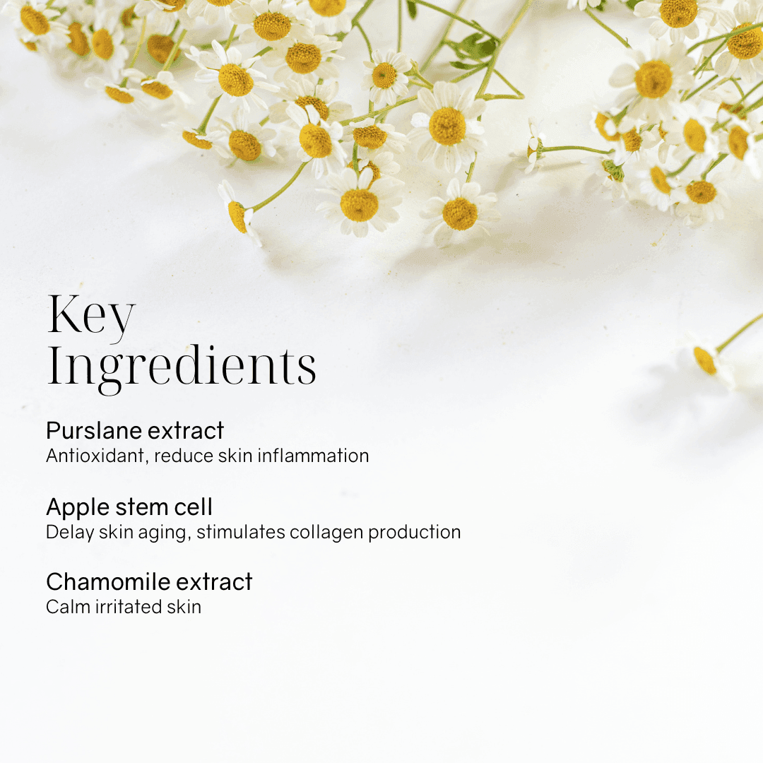 SWI Stem Cell Essence for Age control & Revive 30ml - Image 2